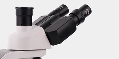 观察头.png 观察头.png